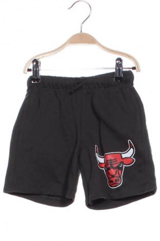 Παιδικό κοντό παντελόνι Zara, Μέγεθος 2-3y/ 98-104 εκ., Χρώμα Γκρί, Τιμή 10,66 €