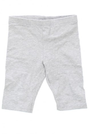 Dziecięce legginsy United Colors Of Benetton, Rozmiar 12-18m/ 80-86 cm, Kolor Szary, Cena 47,99 zł