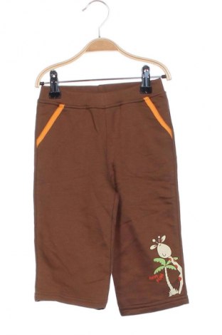 Dziecięce spodnie Coolclub, Rozmiar 9-12m/ 74-80 cm, Kolor Kolorowy, Cena 44,99 zł
