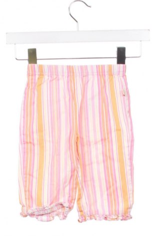 Dětské kalhoty  Unbranded, Velikost 6-9m/ 68-74 cm, Barva Vícebarevné, Cena  199,00 Kč
