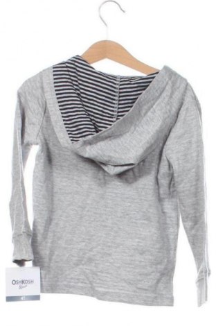 Kinder Sweatshirts Oshkosh, Größe 3-4y/ 104-110 cm, Farbe Grau, Preis 24,99 €