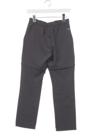 Gyerek sport nadrág Icepeak, Méret 10-11y / 146-152 cm, Szín Szürke, Ár 20 769 Ft