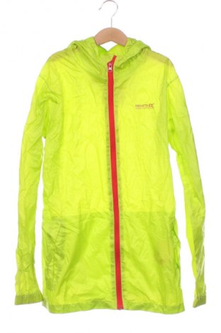 Kinderjacke Regatta, Größe 13-14y/ 164-168 cm, Farbe Grün, Preis € 33,99