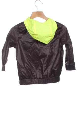 Dziecięca kurtka Unbranded, Rozmiar 18-24m/ 86-98 cm, Kolor Brązowy, Cena 104,99 zł