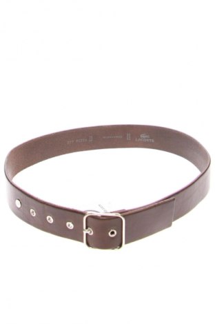 Ζώνη Lacoste, Χρώμα Καφέ, Τιμή 28,00 €