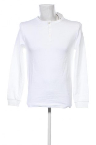 Herren Shirt Dan Fox X About You, Größe S, Farbe Weiß, Preis € 39,99