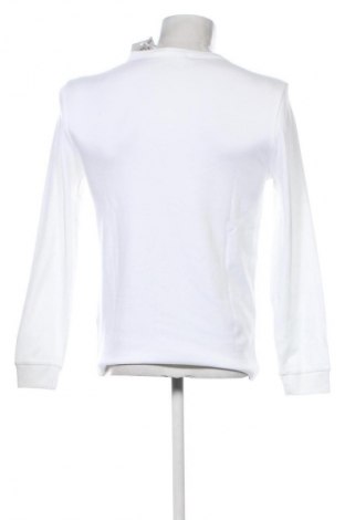 Herren Shirt Dan Fox X About You, Größe S, Farbe Weiß, Preis € 39,99