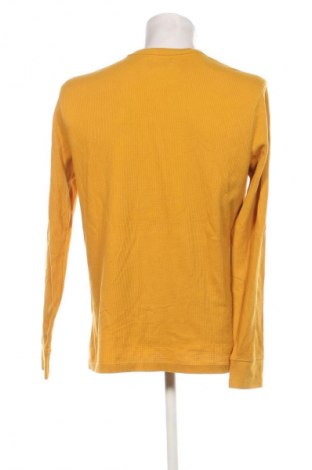 Męska bluzka Gap, Rozmiar L, Kolor Pomarańczowy, Cena 88,99 zł