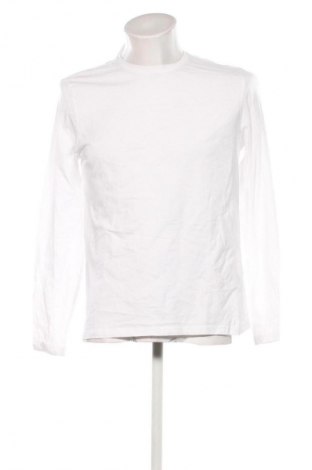 Herren Shirt Oviesse, Größe L, Farbe Weiß, Preis 13,99 €