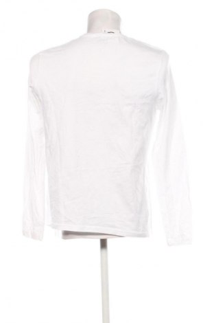 Herren Shirt Oviesse, Größe L, Farbe Weiß, Preis 13,99 €