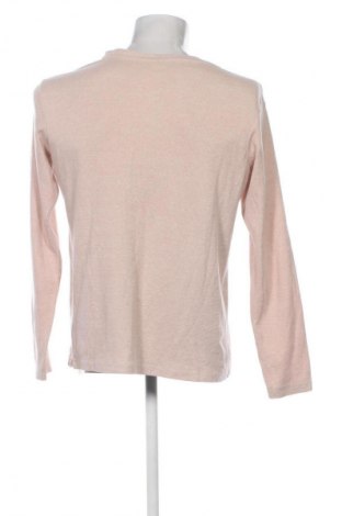 Herren Shirt X-Mail, Größe L, Farbe Braun, Preis 6,99 €