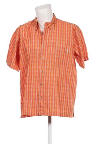 Herrenhemd Regatta, Größe XL, Farbe Mehrfarbig, Preis 23,99 €
