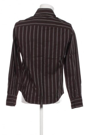Herrenhemd Zara, Größe L, Farbe Mehrfarbig, Preis € 17,39