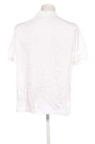 Herren T-Shirt Calvin Klein, Größe 3XL, Farbe Weiß, Preis € 38,99