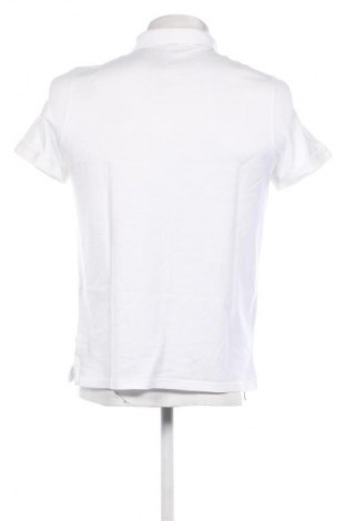 Herren T-Shirt Calvin Klein, Größe M, Farbe Mehrfarbig, Preis 29,42 €