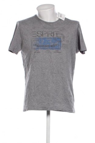 Pánské tričko  Esprit, Velikost XL, Barva Šedá, Cena  249,00 Kč