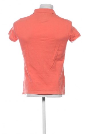 Męski T-shirt Massimo Dutti, Rozmiar M, Kolor Pomarańczowy, Cena 110,34 zł