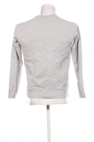 Herren T-Shirt Tom Tailor, Größe S, Farbe Grau, Preis 10,99 €