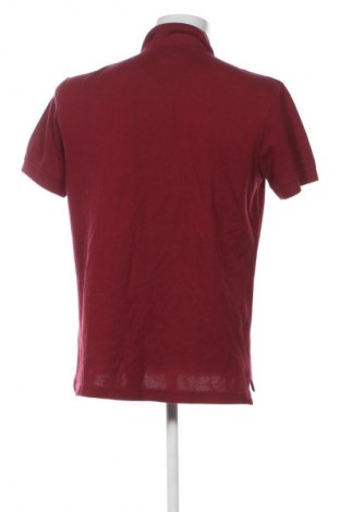 Męski T-shirt Tommy Hilfiger, Rozmiar L, Kolor Czerwony, Cena 352,51 zł