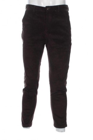 Męskie sztruksy Jack & Jones, Rozmiar L, Kolor Brązowy, Cena 134,99 zł