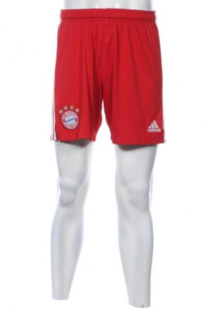 Herren Shorts Adidas, Größe L, Farbe Rot, Preis 23,99 €