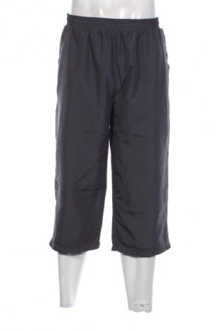 Herren Shorts Crane, Größe L, Farbe Grau, Preis € 20,99