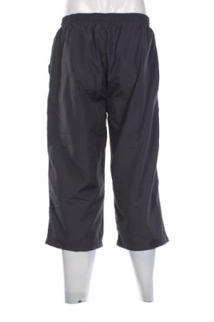 Herren Shorts Crane, Größe L, Farbe Grau, Preis € 20,99