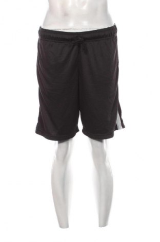 Herren Shorts Crane, Größe XL, Farbe Schwarz, Preis 13,99 €