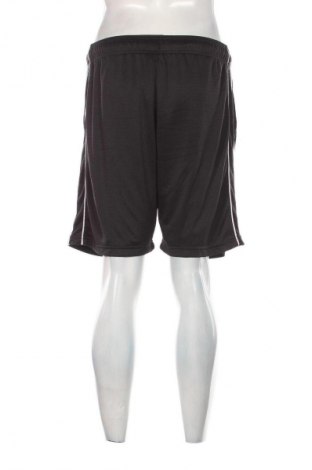 Herren Shorts Crane, Größe XL, Farbe Schwarz, Preis 13,99 €