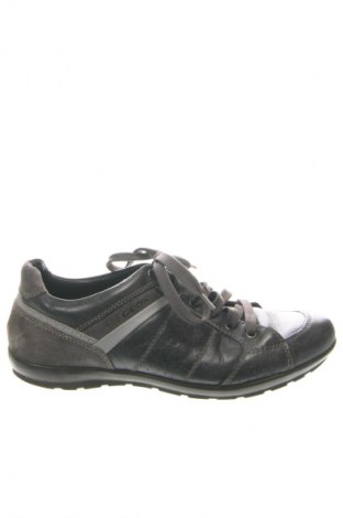 Pánske topánky Geox, Veľkosť 43, Farba Sivá, Cena  33,95 €