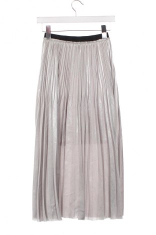 Φούστα Zara, Μέγεθος XS, Χρώμα Γκρί, Τιμή 13,81 €