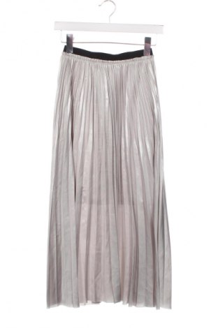 Φούστα Zara, Μέγεθος XS, Χρώμα Γκρί, Τιμή 13,81 €