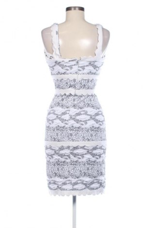 Kleid Alberto Makali, Größe M, Farbe Mehrfarbig, Preis 66,57 €