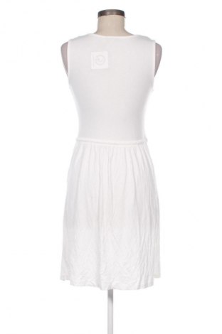 Kleid Anna Field, Größe M, Farbe Weiß, Preis 14,84 €