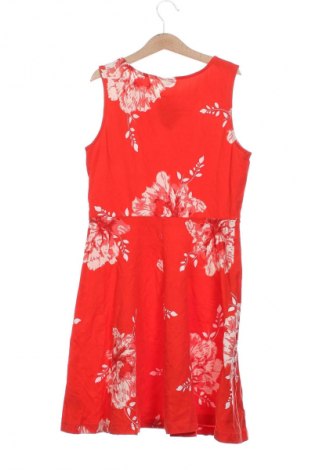 Kleid Beach Time, Größe XS, Farbe Mehrfarbig, Preis € 20,99