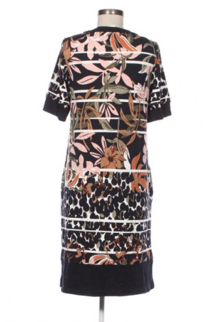 Kleid Betty Barclay, Größe L, Farbe Mehrfarbig, Preis € 57,99