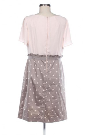 Kleid Comma,, Größe L, Farbe Mehrfarbig, Preis 41,59 €