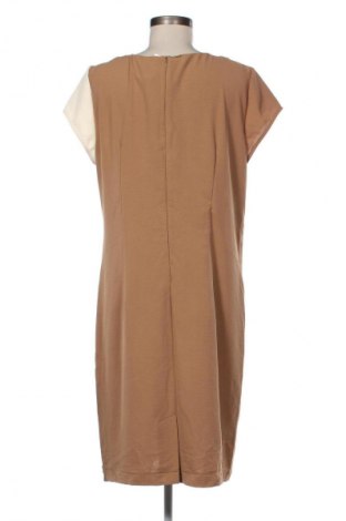 Kleid Danini, Größe XL, Farbe Mehrfarbig, Preis € 21,99