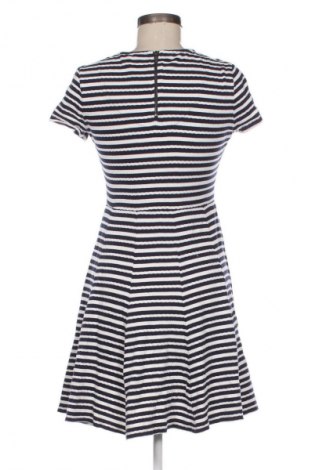 Kleid Fat Face, Größe M, Farbe Mehrfarbig, Preis 41,91 €