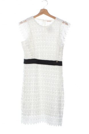 Kleid Fracomina, Größe S, Farbe Mehrfarbig, Preis 56,99 €
