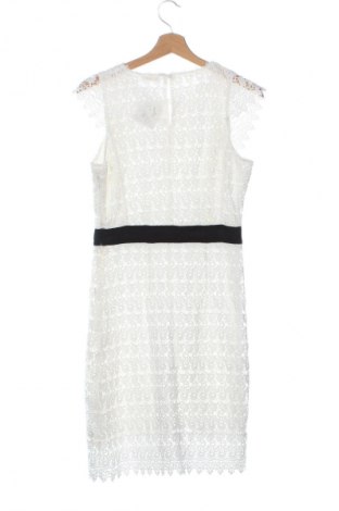 Kleid Fracomina, Größe S, Farbe Mehrfarbig, Preis 56,99 €