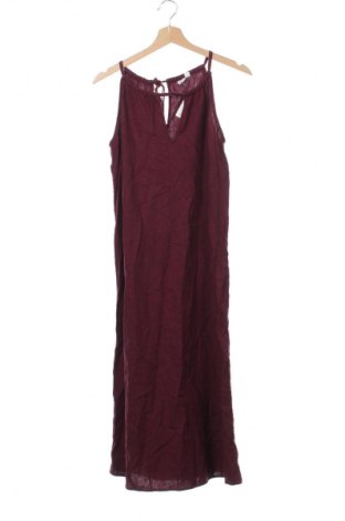 Kleid Gap, Größe XS, Farbe Rot, Preis € 33,99