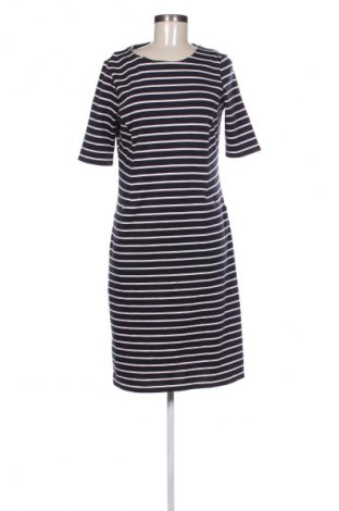 Kleid Gerry Weber, Größe XL, Farbe Mehrfarbig, Preis 42,00 €
