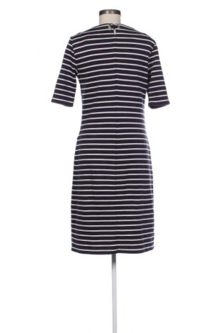 Kleid Gerry Weber, Größe XL, Farbe Mehrfarbig, Preis 42,00 €