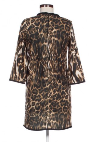 Kleid Mango, Größe S, Farbe Mehrfarbig, Preis 42,12 €