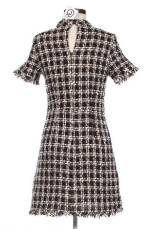 Kleid Primark, Größe M, Farbe Mehrfarbig, Preis € 14,83