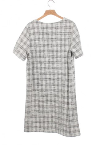 Kleid Primark, Größe XS, Farbe Mehrfarbig, Preis 14,51 €