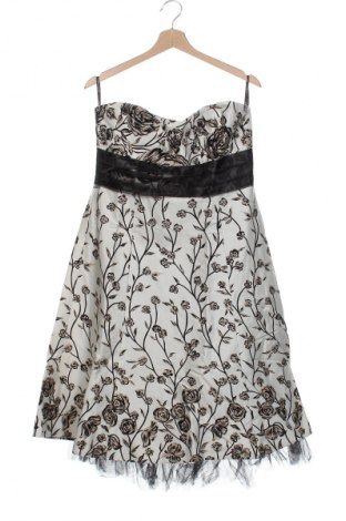 Kleid Spotlight By Warehouse, Größe XL, Farbe Mehrfarbig, Preis € 31,71