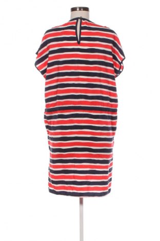 Φόρεμα Tommy Hilfiger, Μέγεθος XL, Χρώμα Πολύχρωμο, Τιμή 65,99 €