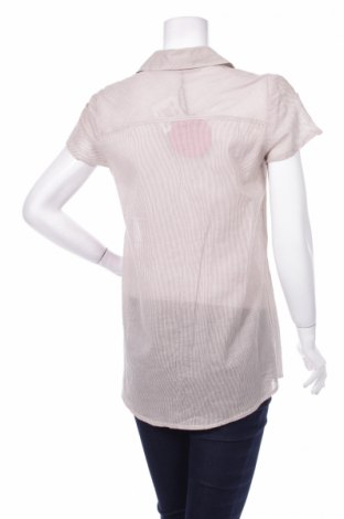 Γυναικείο πουκάμισο Sweet Miss, Μέγεθος M, Χρώμα  Μπέζ, Τιμή 14,43 €